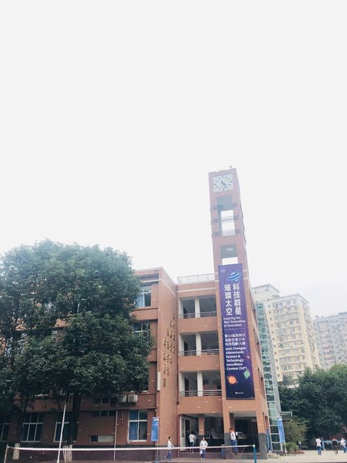 科技群星，璀璨太空——第34屆成都市青少年科技創新大賽盛況紀實